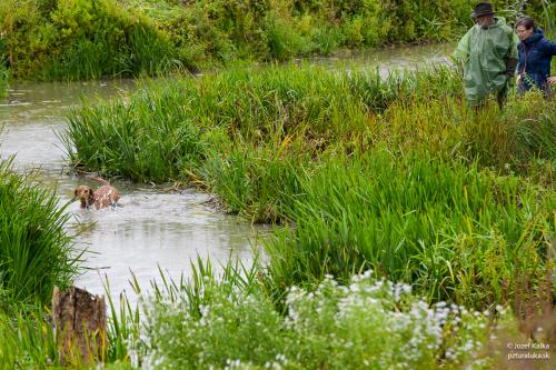 memorial_kolomana_slimaka_pzturaluka_2023-127