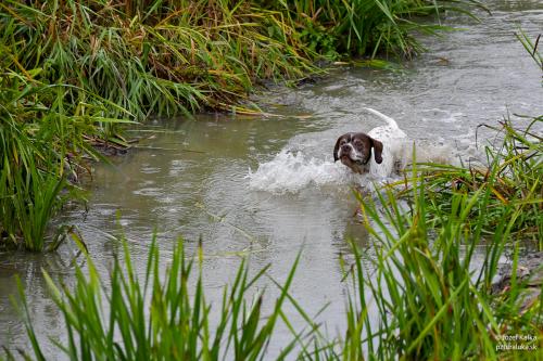 memorial_kolomana_slimaka_pzturaluka_2023-135