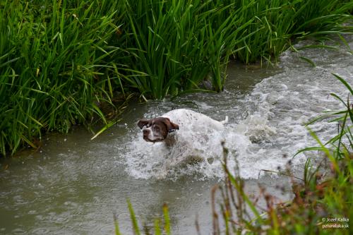 memorial_kolomana_slimaka_pzturaluka_2023-136