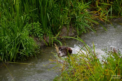 memorial_kolomana_slimaka_pzturaluka_2023-137