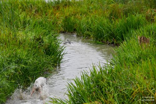 memorial_kolomana_slimaka_pzturaluka_2023-138
