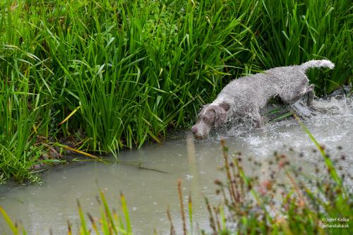 memorial_kolomana_slimaka_pzturaluka_2023-141