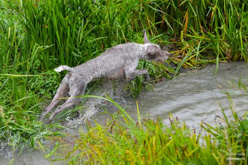 memorial_kolomana_slimaka_pzturaluka_2023-142