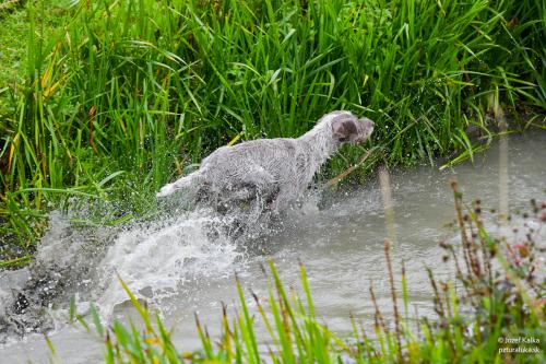 memorial_kolomana_slimaka_pzturaluka_2023-143