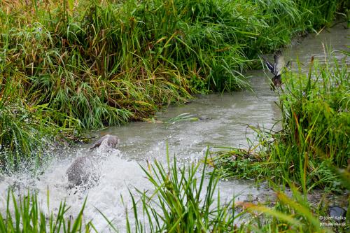 memorial_kolomana_slimaka_pzturaluka_2023-144