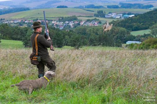 memorial_kolomana_slimaka_pzturaluka_2023-165