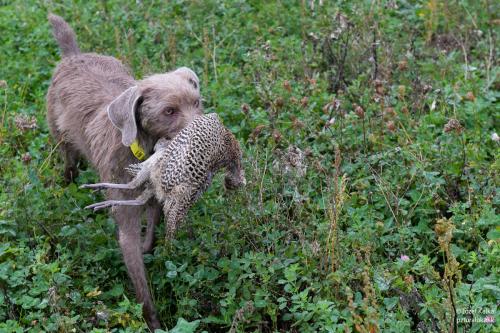 memorial_kolomana_slimaka_pzturaluka_2023-176