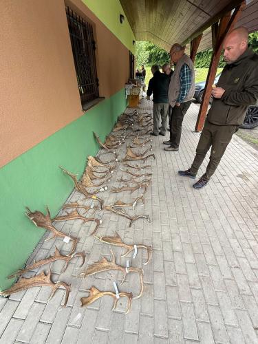 Vystava najdenych zhodov parozia v reviri Tura-Luka 2025 011